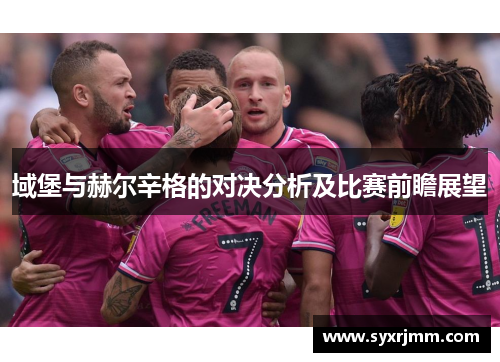 域堡与赫尔辛格的对决分析及比赛前瞻展望